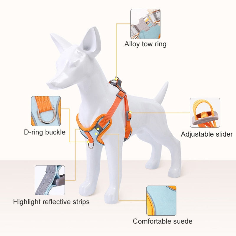 Visible Dog Vest Harness