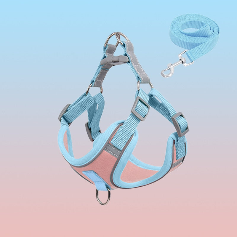 Visible Dog Vest Harness