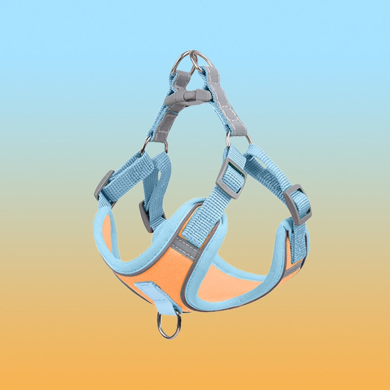 Visible Dog Vest Harness