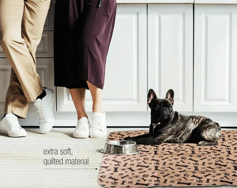 EcoFriendly Dog Pads - Reusable Pet Training