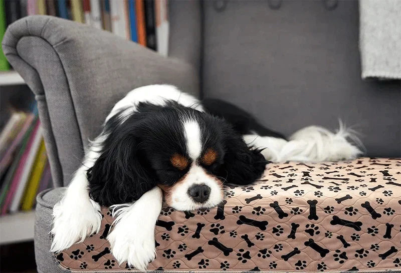 EcoFriendly Dog Pads - Reusable Pet Training