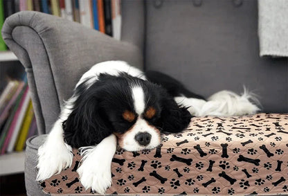 EcoFriendly Dog Pads - Reusable Pet Training