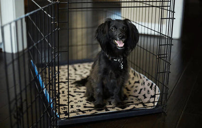 EcoFriendly Dog Pads - Reusable Pet Training