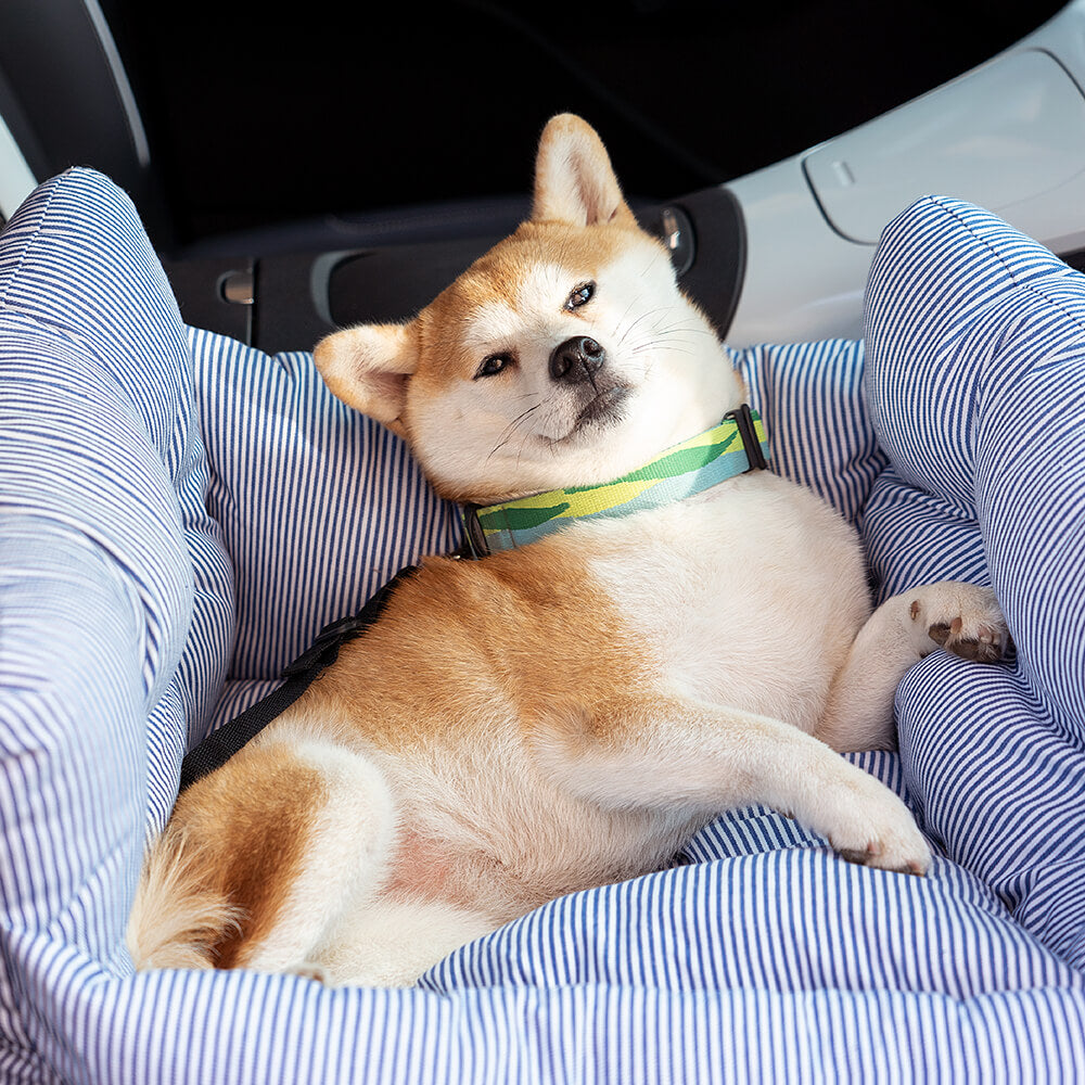 Comfy Travel Pet Car Booster Seat