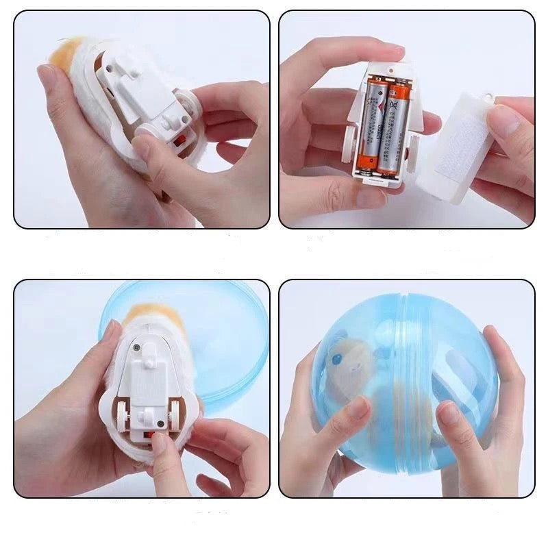 Fun Interactive Cat Roller Toy