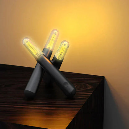 Portable Plug in LED Nightlight Befez