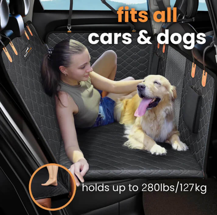 Portable Pet Bench for Dogs