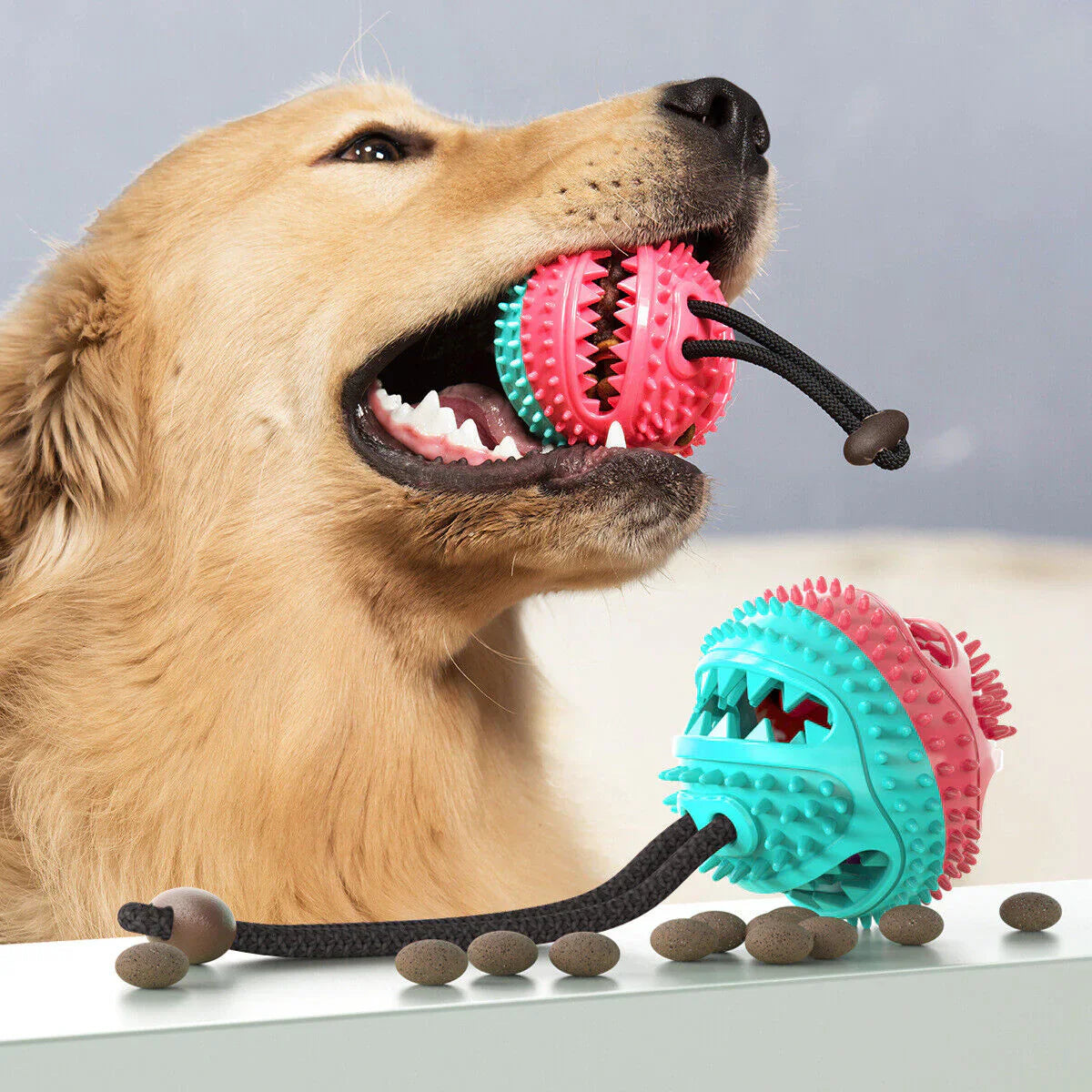 Tough Rubber Dog Toy - PowerPaw Befez