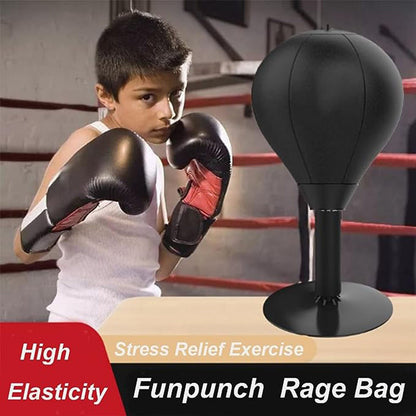 Home Punching Bag - Easy Hang Boxing Kit