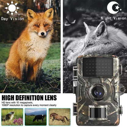 Motion Activated Outdoor Wildlife Camera