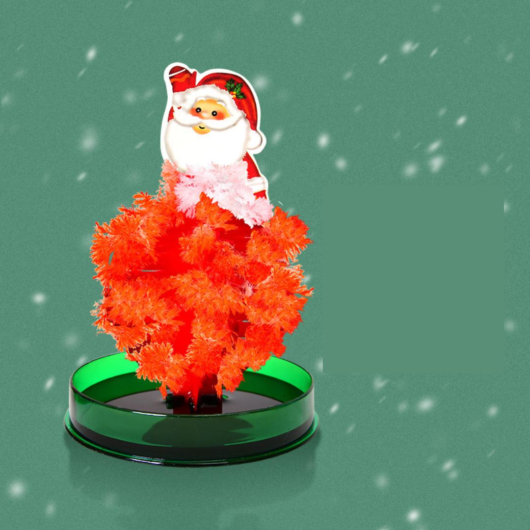 Befez | Enchanted Growing Tree
