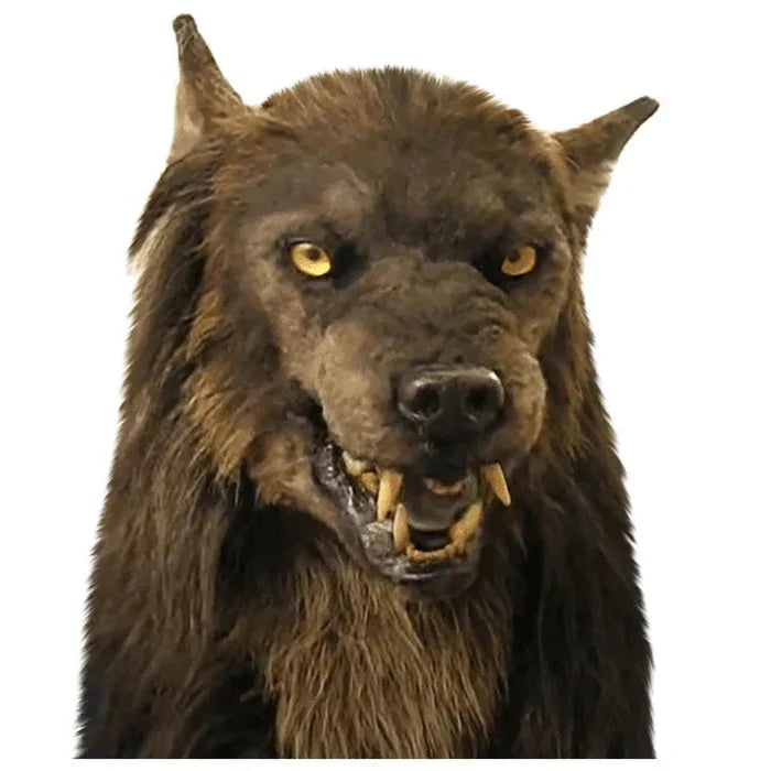 Spooky Wolf Halloween Party Mask