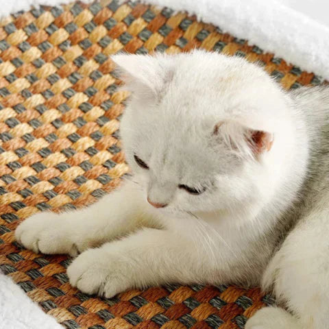 Comfy Cat Scratching Bed