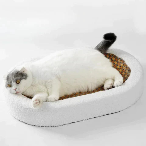 Comfy Cat Scratching Bed