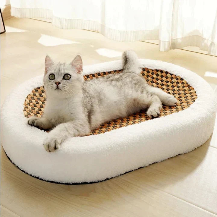 Comfy Cat Scratching Bed - Befez