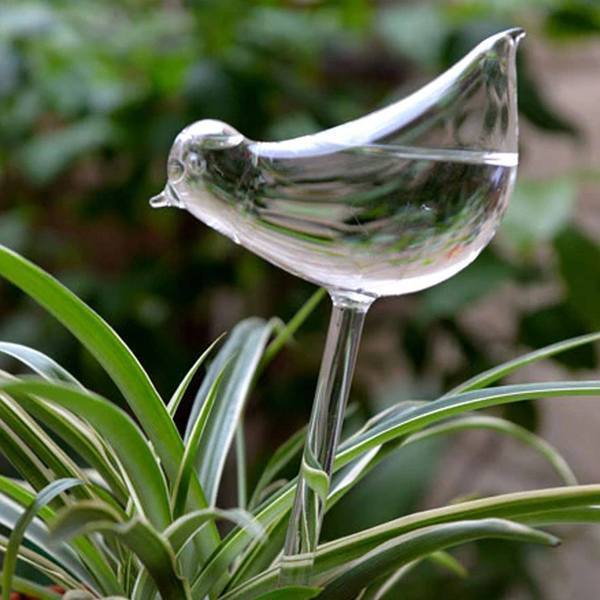 Easy Care Automatic Plant Bulb - Befez