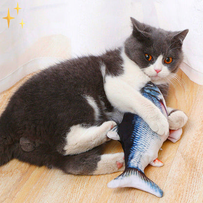 Colorful Interactive Cat Fish Toys Set