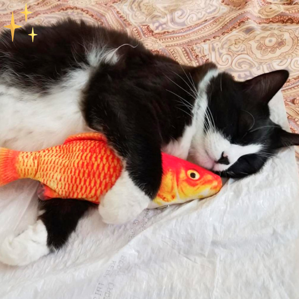 Colorful Interactive Cat Fish Toys Set