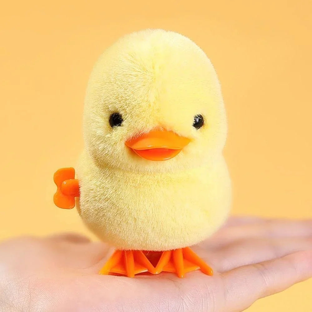 Fun Pull Along Kids Toy