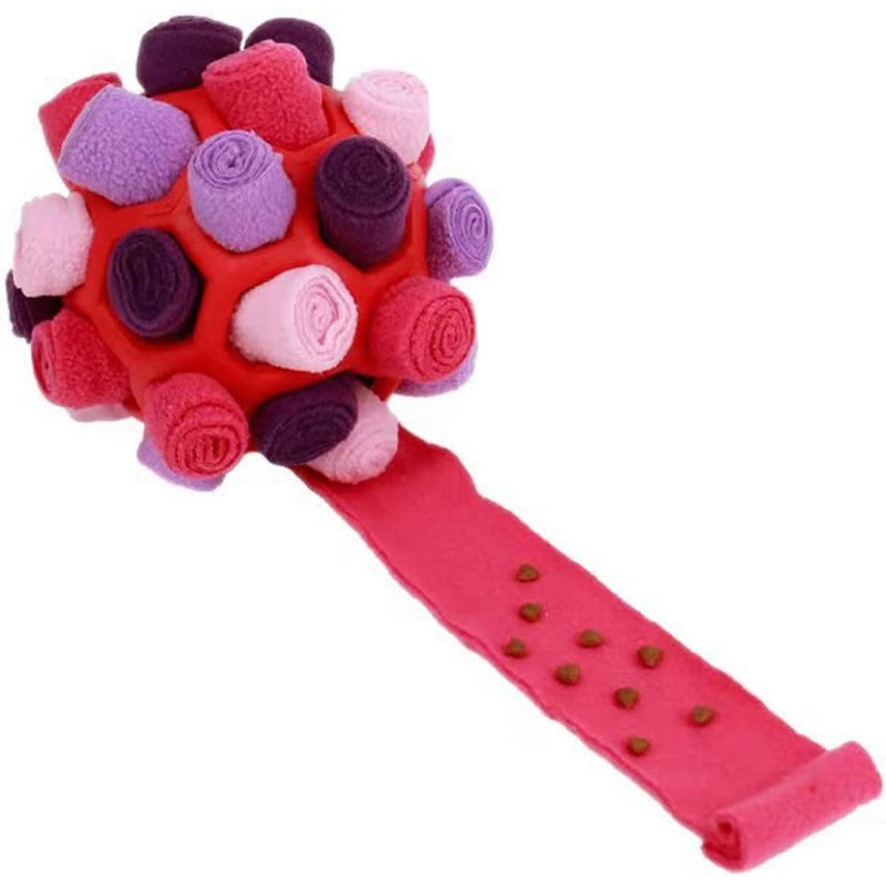 Fun Pet Interactive Ball Toy