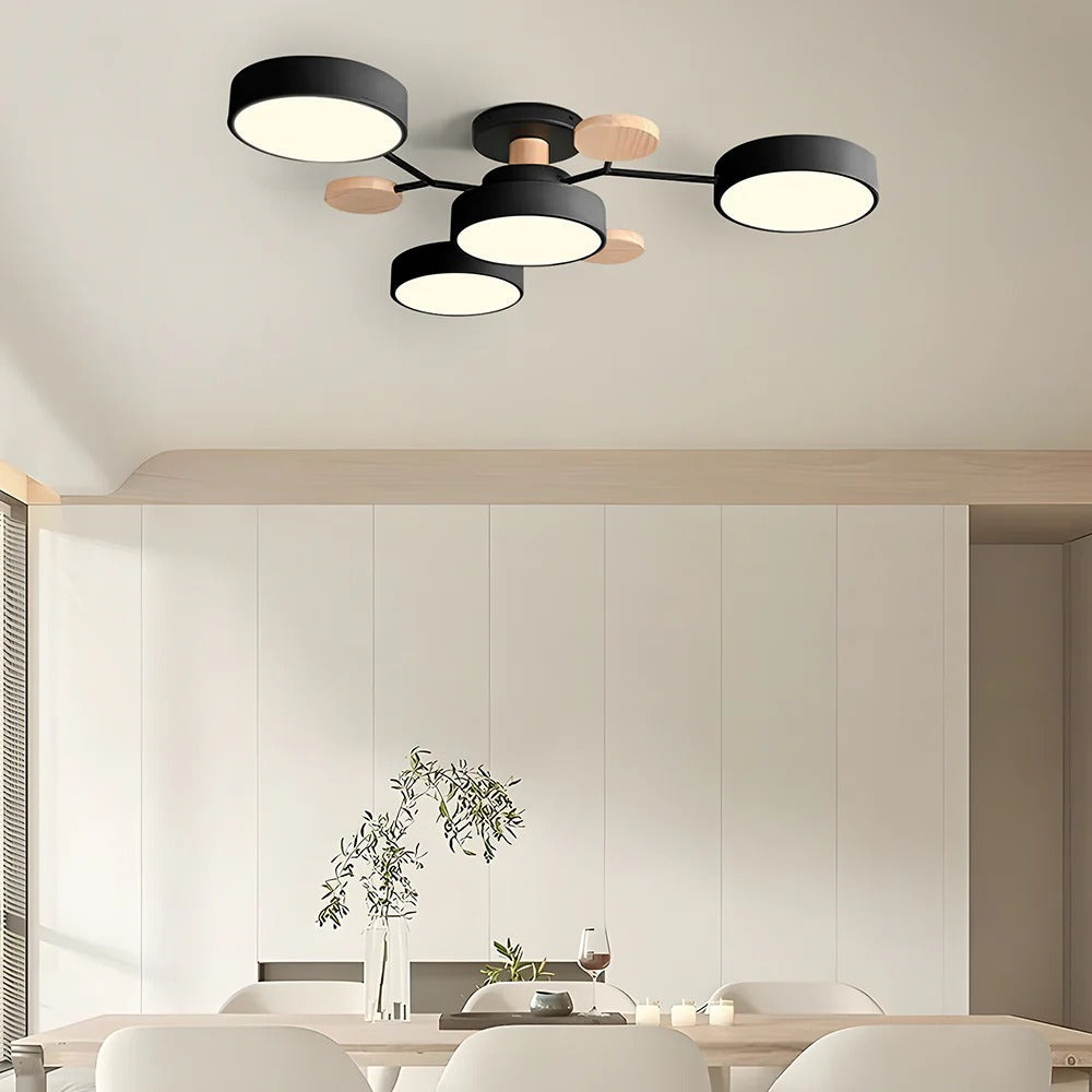 Sleek LED Ceiling Flush Mount Light Fixture