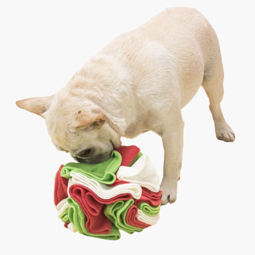 Interactive Dog Toy Puzzle Ball