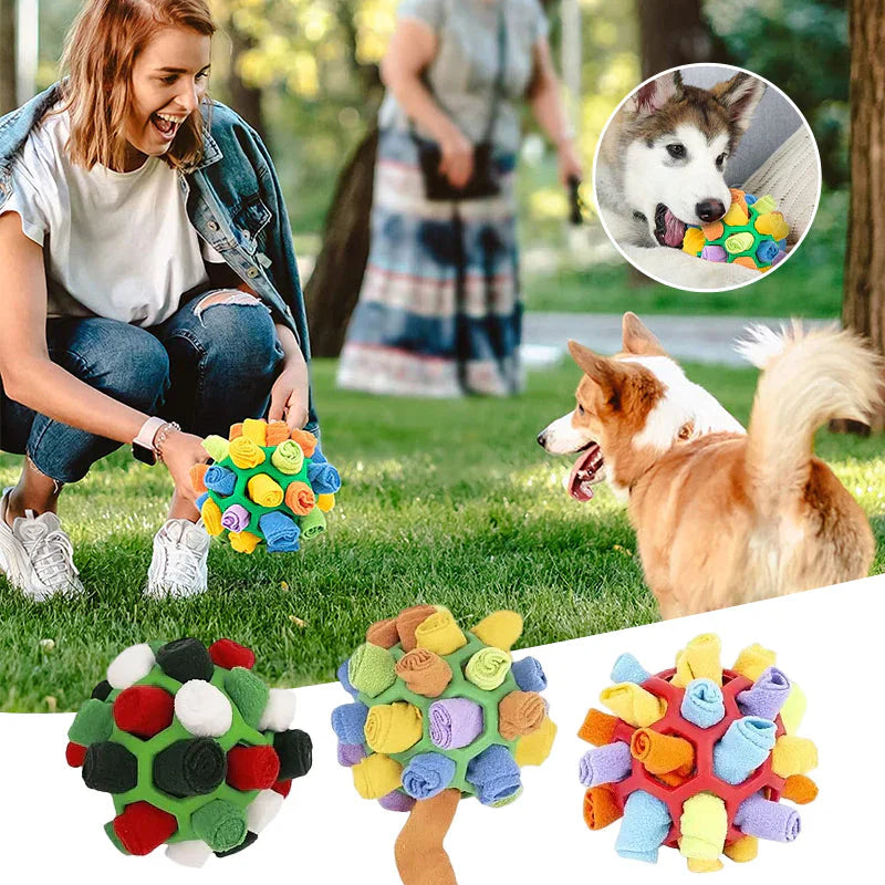 Fun Dog Puzzle Toy Feeder