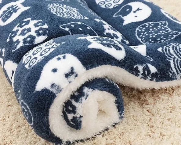 Cozy Plush Kitten Throw Blanket
