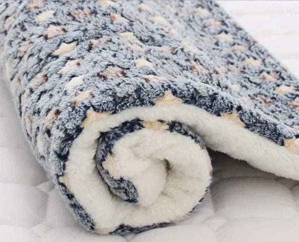 Cozy Plush Kitten Throw Blanket
