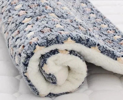 Cozy Plush Kitten Throw Blanket
