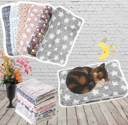 Cozy Plush Kitten Throw Blanket - Befez