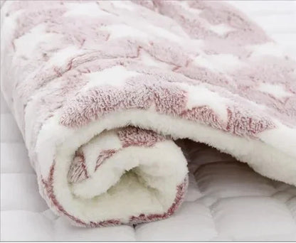 Cozy Plush Kitten Throw Blanket