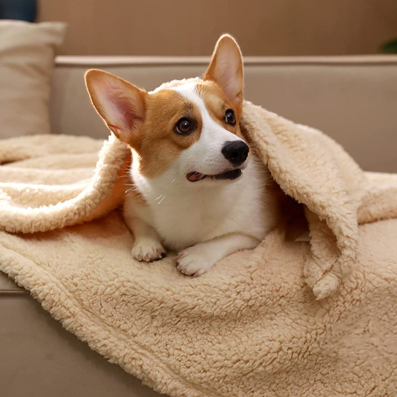 Cozy Plush Dog Blanket - Befez