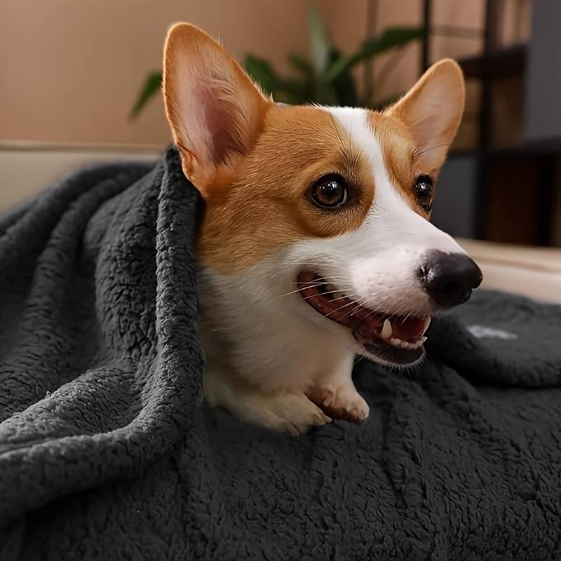 Cozy Plush Dog Blanket
