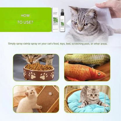 Calming Cat Spray SilverVine Relaxation Aid