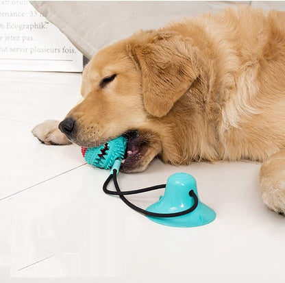 Durable Pet Rope Toy