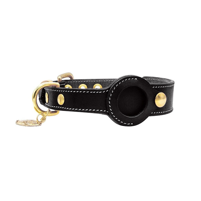 Comfortable Pet Tracker Collar - PetSafe GPS