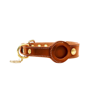 Comfortable Pet Tracker Collar - PetSafe GPS - Befez