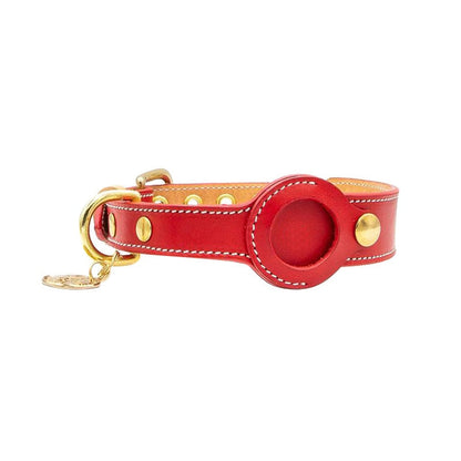 Comfortable Pet Tracker Collar - PetSafe GPS