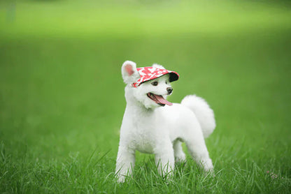 Cute Pet Sun Hat - SunnyPaws Dog Cap
