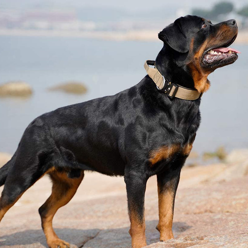 Strong Dog Collar with Handle - Heavy Duty Pet Gear - Befez