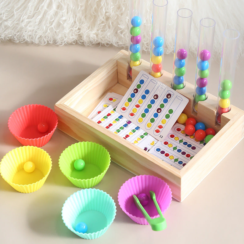 Educational Kids Colour Sorting Learning Kit