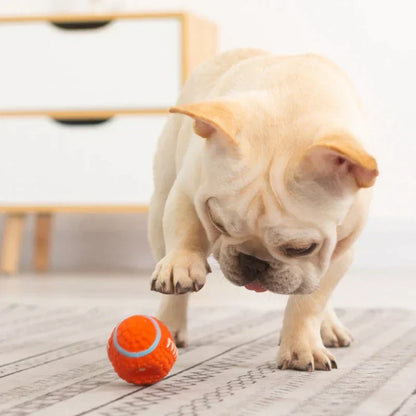 Durable Dog Chew Toy - Tough KryptoChew Befez