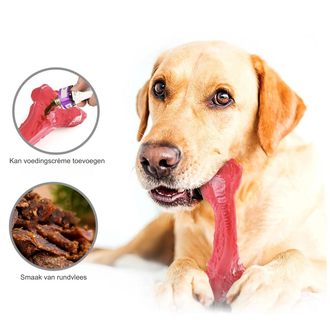 Fun Dog Dental Chew Toys