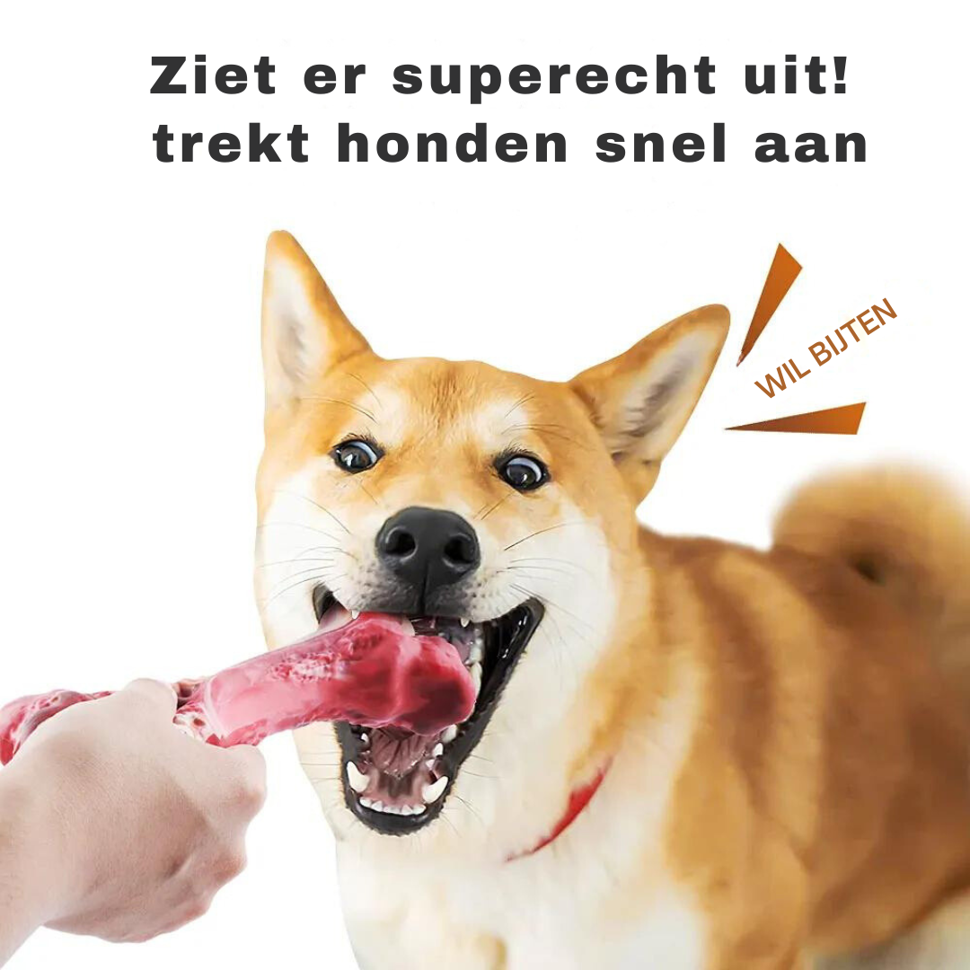 Fun Dog Dental Chew Toys