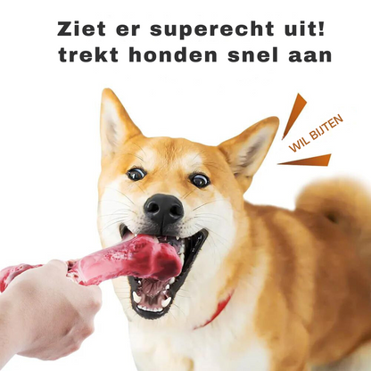 Fun Dog Dental Chew Toys