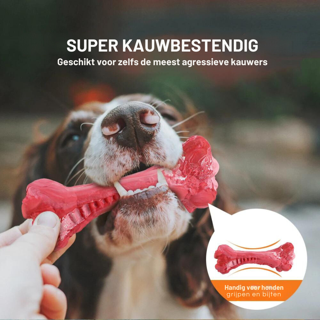 Fun Dog Dental Chew Toys