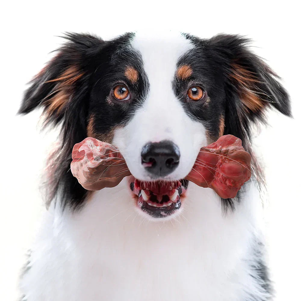 Fun Dog Dental Chew Toys