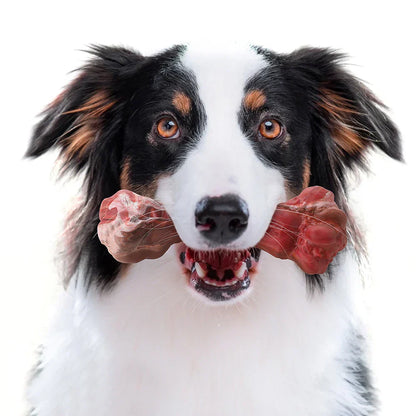 Fun Dog Dental Chew Toys