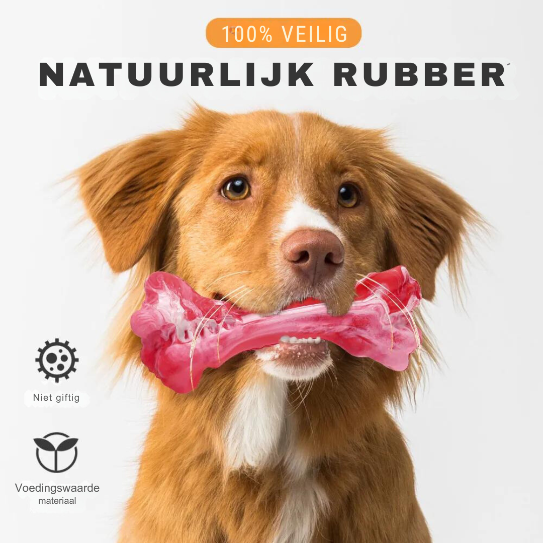 Fun Dog Dental Chew Toys